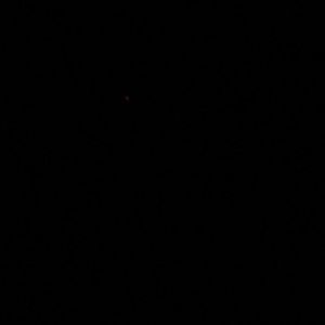 Meet your Posher, Cecilia